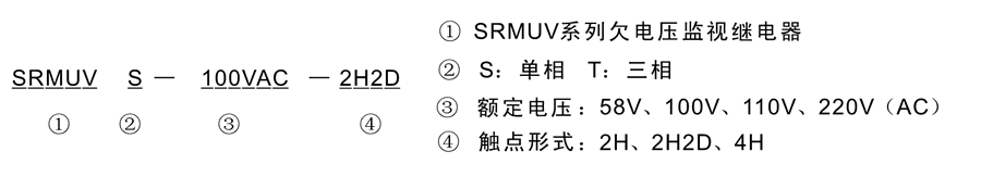 SRMUVT-100VAC-2H2D型號及其含義